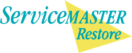 Service Master Restore 