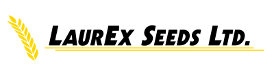 LaurEx Seeds 